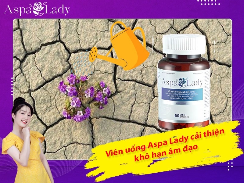 Viên uống Aspa Lady cải thiện khô hạn âm đạo hiệu quả