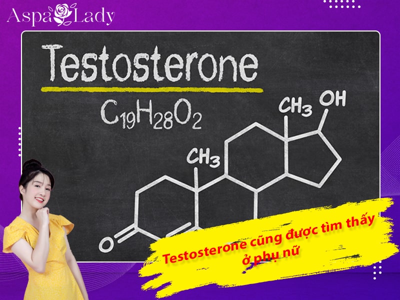 Hormone Testosteron cũng được tìm thấy ở phụ nữ