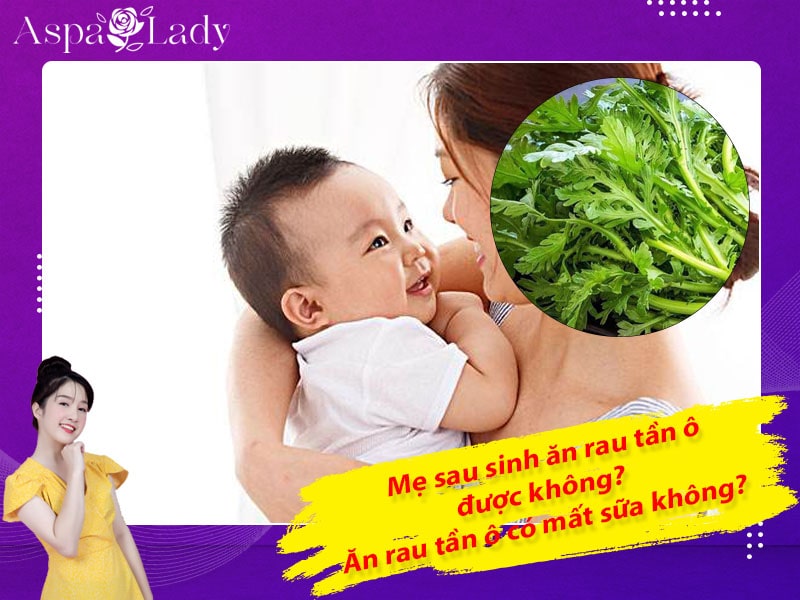 Mẹ sau sinh có ăn được rau tần ô không? Ăn có mất sữa không?
