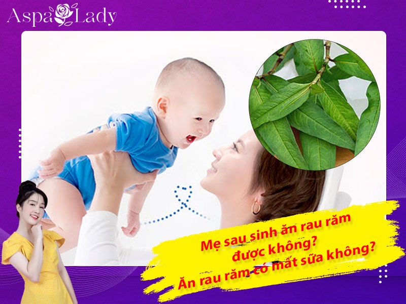 Mẹ sau sinh ăn rau răm được không? Ăn có mất sữa không?