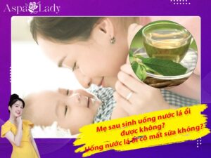 Mẹ cho con bú uống nước lá ổi được không? Có gây mất sữa?