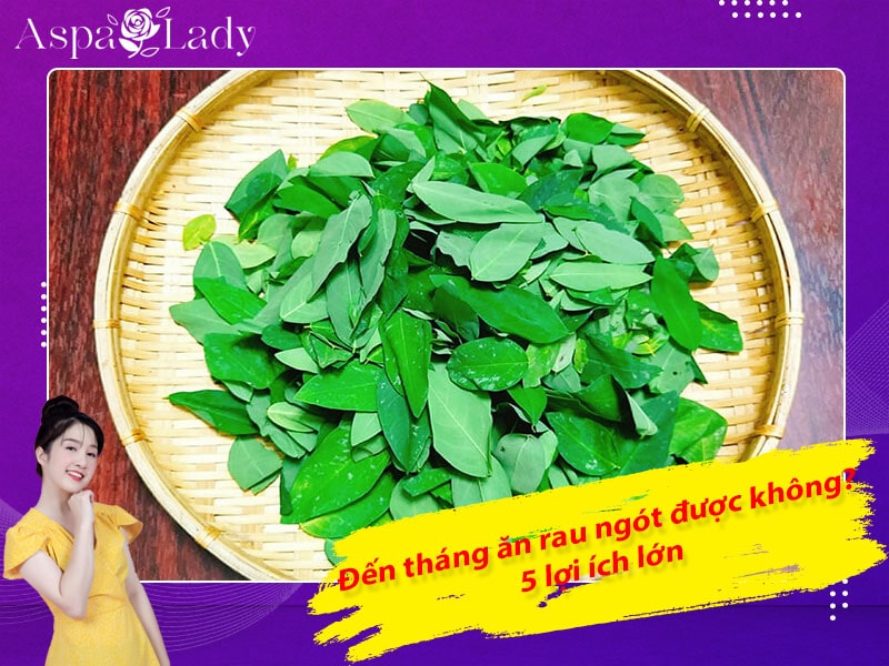 Đến tháng ăn rau ngót được không? 5 lợi ích lớn