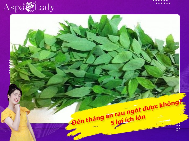 Đến tháng ăn rau ngót được không? 5 lợi ích lớn