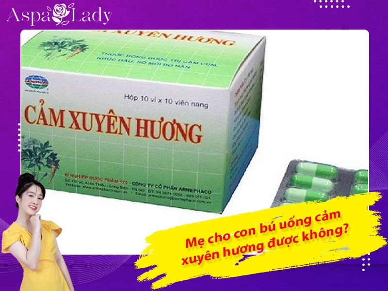 Mẹ cho con bú uống cảm xuyên hương được không? Có gây mất sữa?