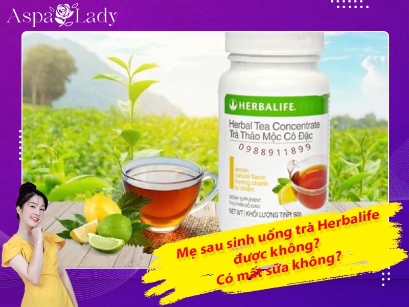 Mẹ cho con bú uống trà Herbalife được không? Uống có mất sữa?