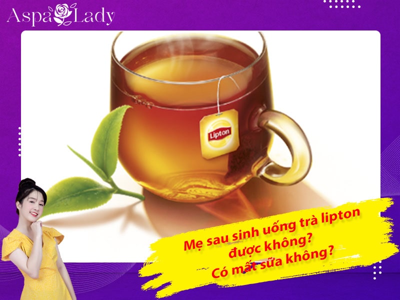 Mẹ cho con bú uống trà lipton được không? Uống có mất sữa?