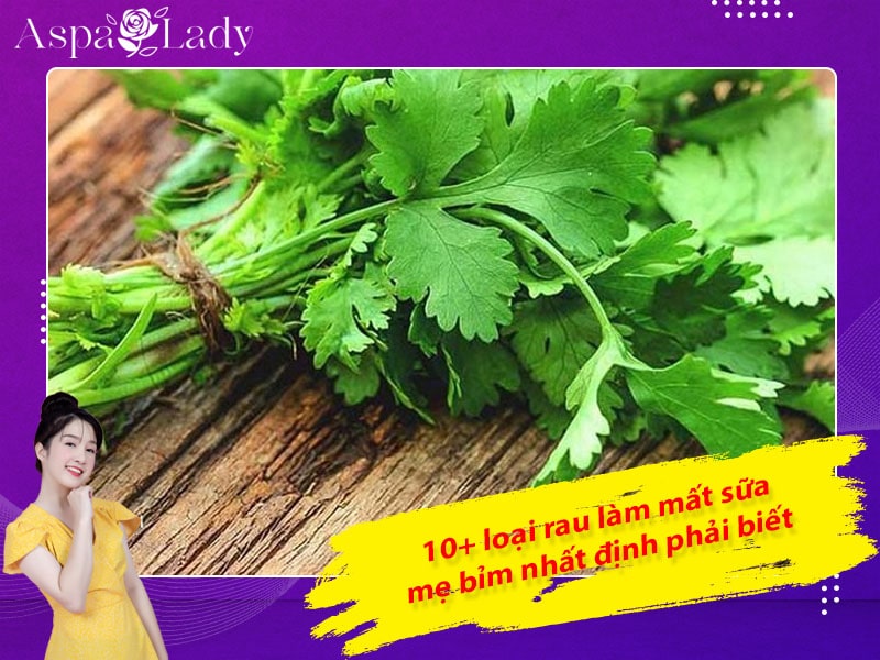 10+ loại rau làm mất sữa mẹ bỉm nhất định phải biết