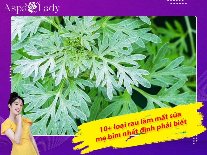 10+ loại rau làm mất sữa mẹ bỉm nhất định phải biết