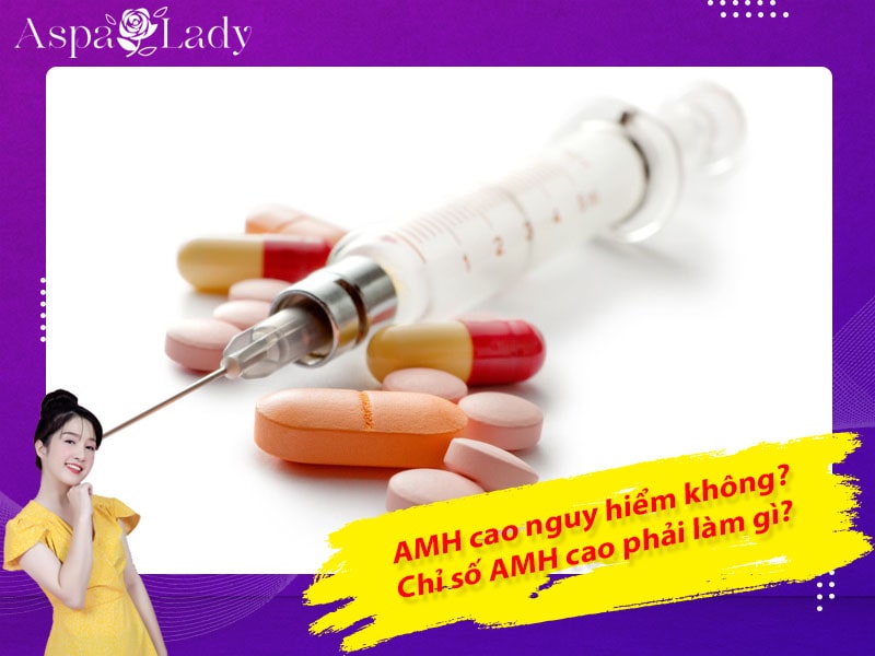 AMH cao nguy hiểm không? Chỉ số AMH cao phải làm gì?