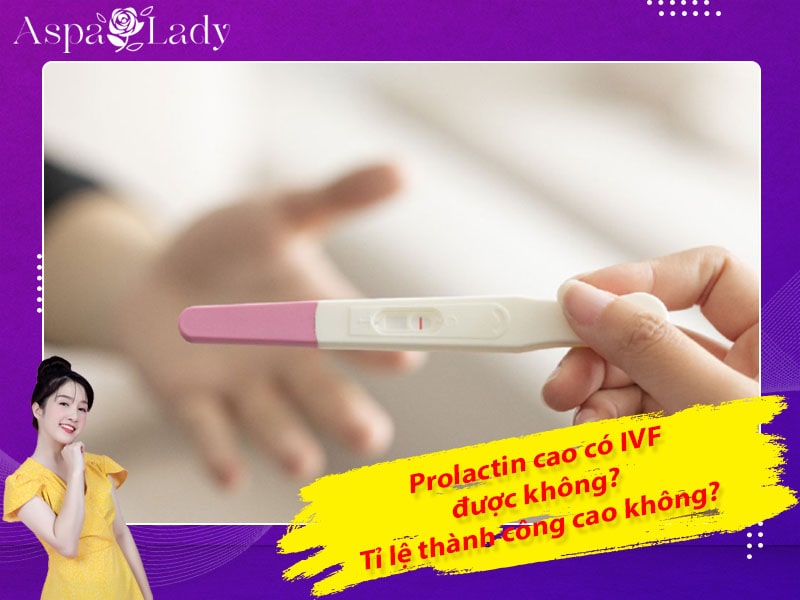 Prolactin cao có IVF được không? Tỉ lệ thành công cao không?