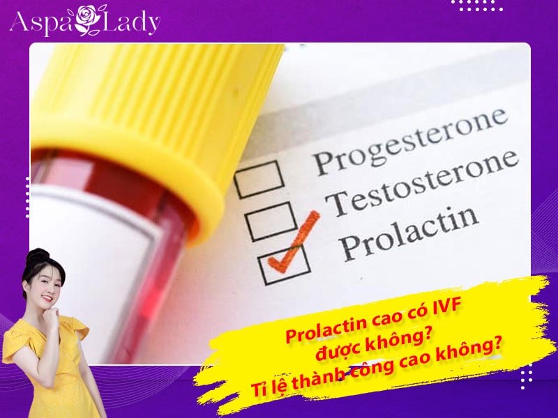 Prolactin cao có IVF được không? Tỉ lệ thành công cao không?