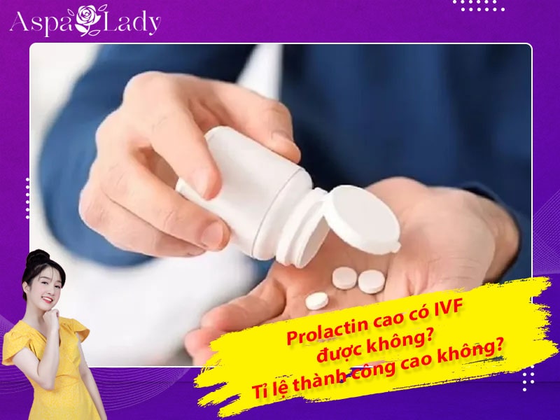 Prolactin cao có IVF được không? Tỉ lệ thành công cao không?