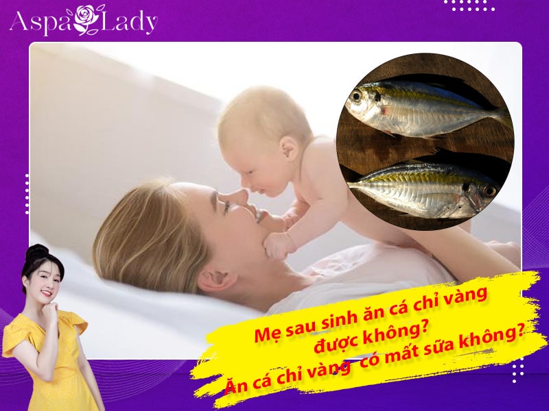 Mẹ sau sinh ăn cá chỉ vàng được không? ăn có mất sữa không?