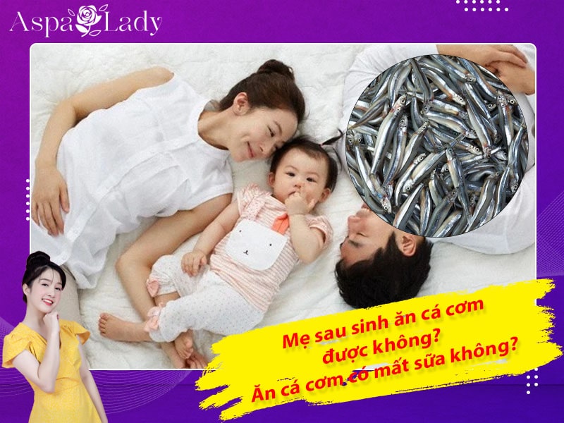 Mẹ sau sinh ăn cá cơm được không? ăn có mất sữa không?