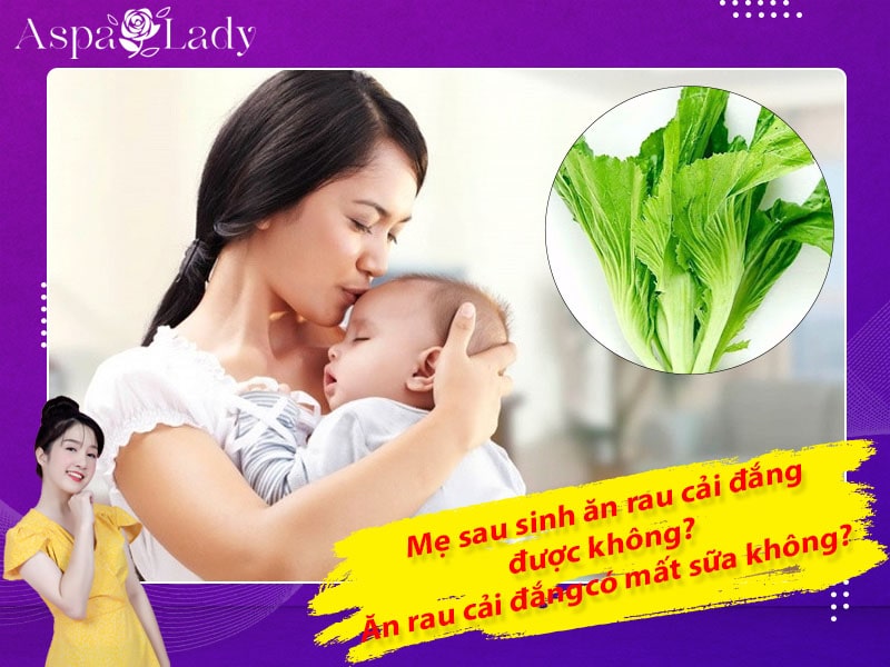 Mẹ sau sinh ăn rau cải đắng được không? Có mất sữa không?