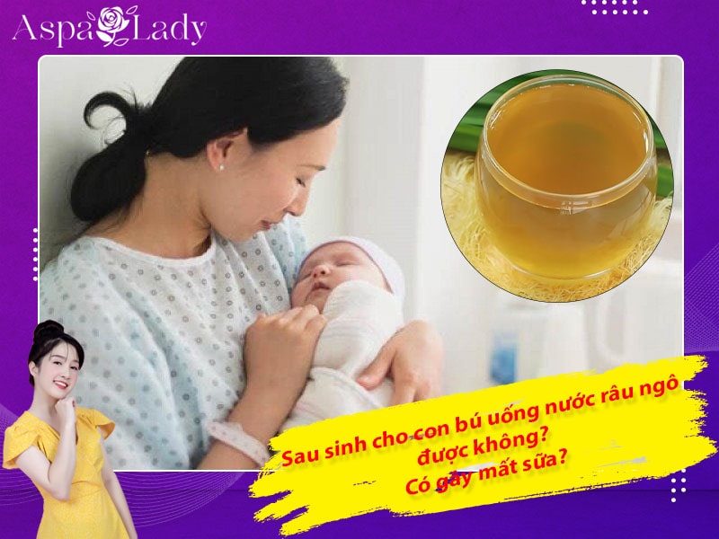 Sau sinh cho con bú uống nước râu ngô được không? Có gây mất sữa?