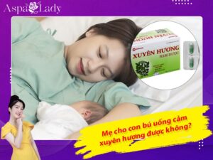 Mẹ cho con bú uống cảm xuyên hương được không? Có gây mất sữa?