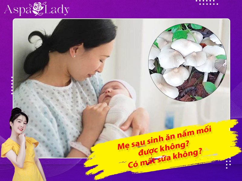 Mẹ sau sinh ăn nấm mối được không? Ăn có mất sữa?