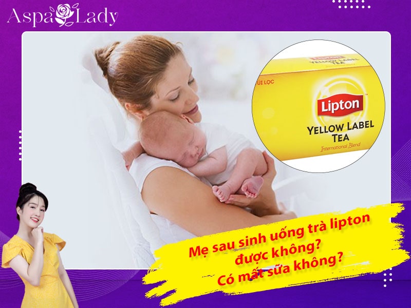 Mẹ cho con bú uống trà lipton được không? Uống có mất sữa?