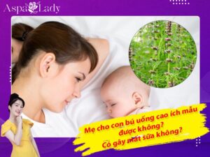 Mẹ cho con bú uống cao ích mẫu được không? Uống có mất sữa không?