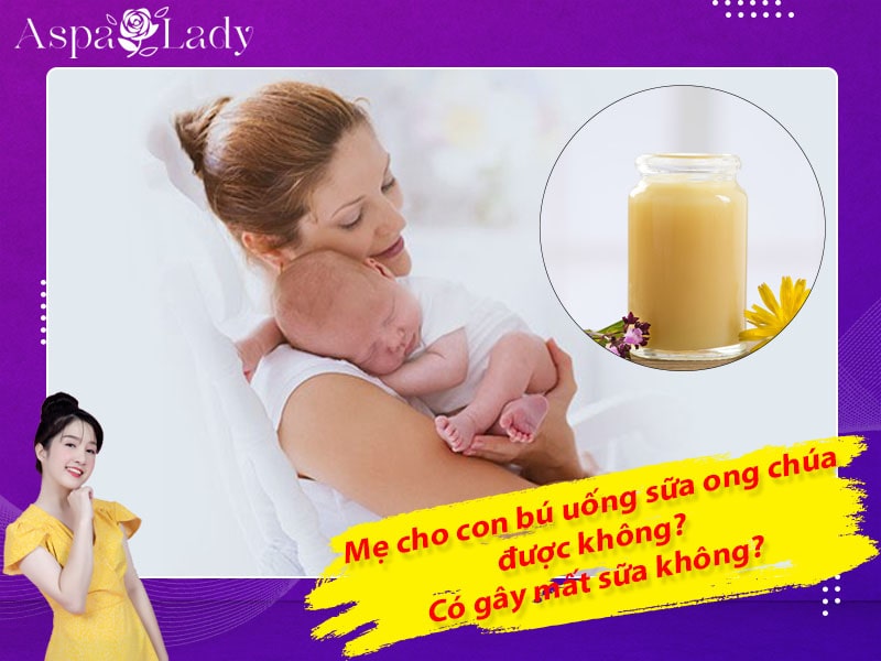 Mẹ cho con bú uống sữa ong chúa được không? Có gây mất sữa không?