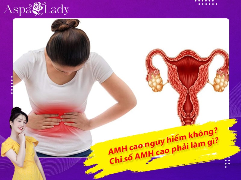 AMH cao nguy hiểm không? Chỉ số AMH cao phải làm gì?